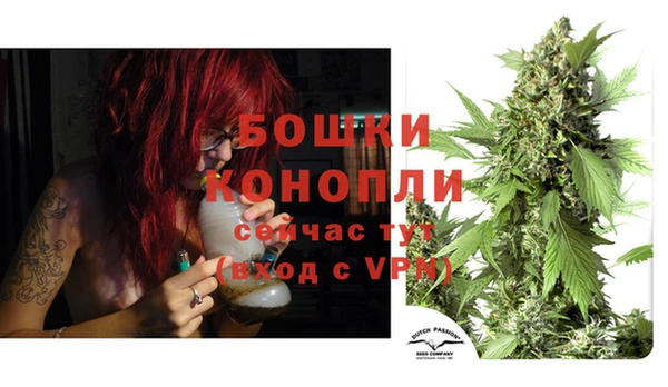 соль курить ск Ладушкин