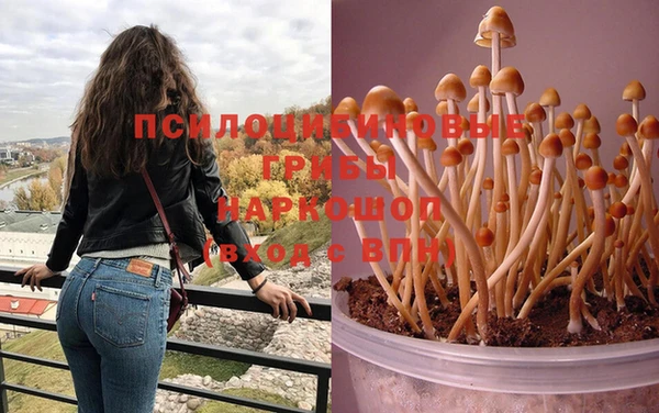spice Лагань