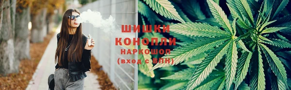 spice Лагань