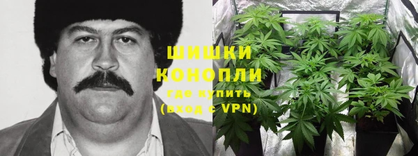 spice Лагань