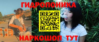 МДПВ Лесосибирск