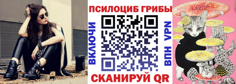 Галлюциногенные грибы мицелий гидра как войти Ярославль