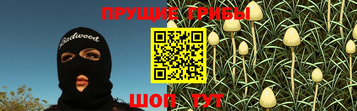 Галлюциногенные грибы прущие грибы  Вход с VPN  Ярославль 